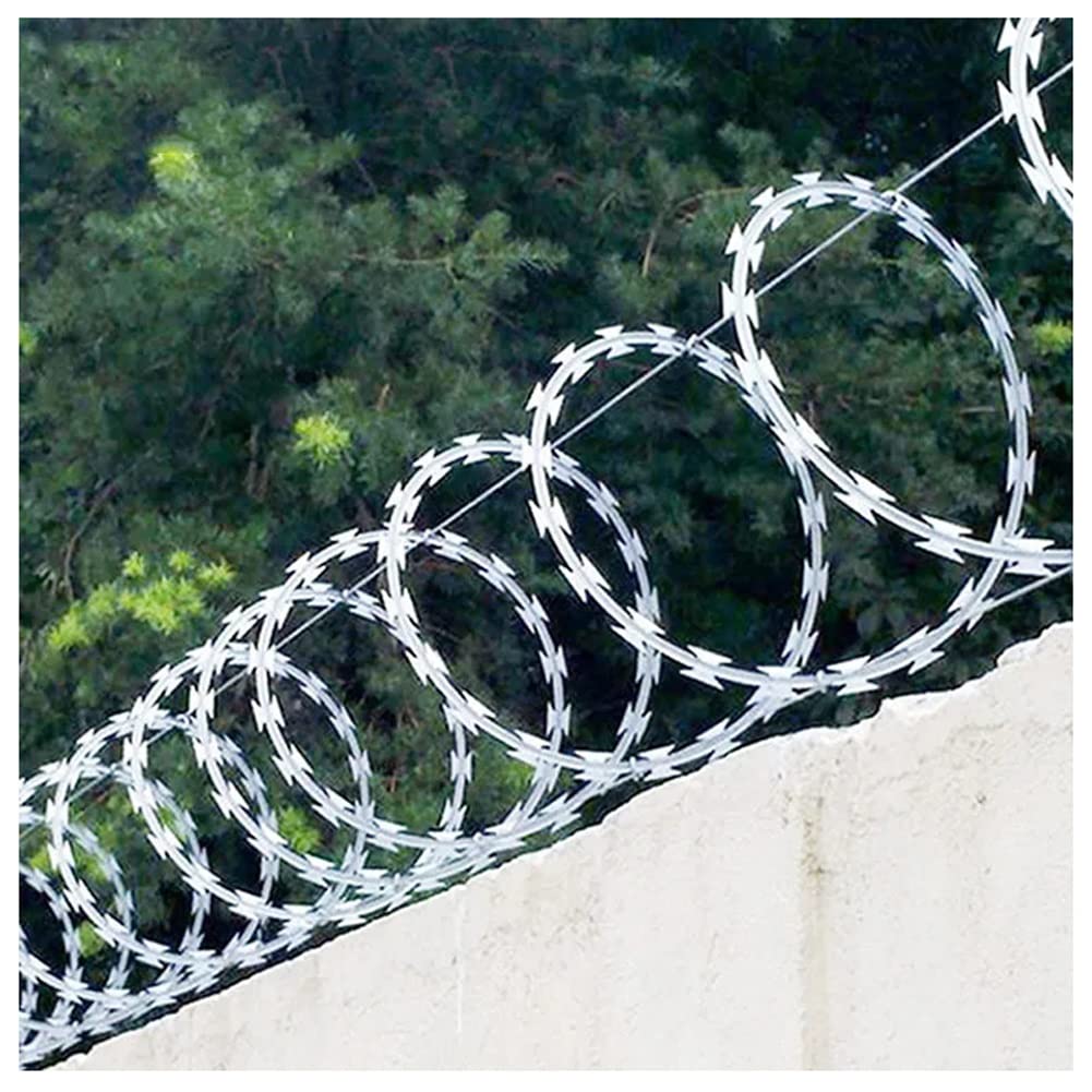 Coiled razor wire runs along the top edge of a light-colored concrete wall.
